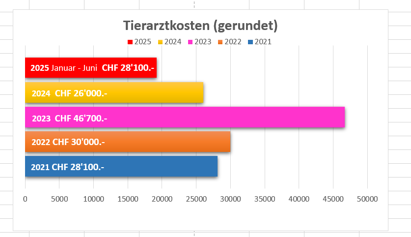 Tierarztkosten Katzengnadenhof 