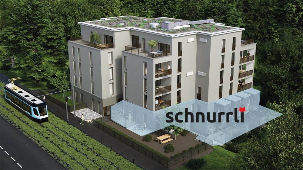 Neues Katzenheim Schnurrli